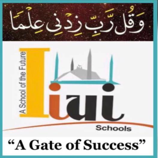 IIUI logo